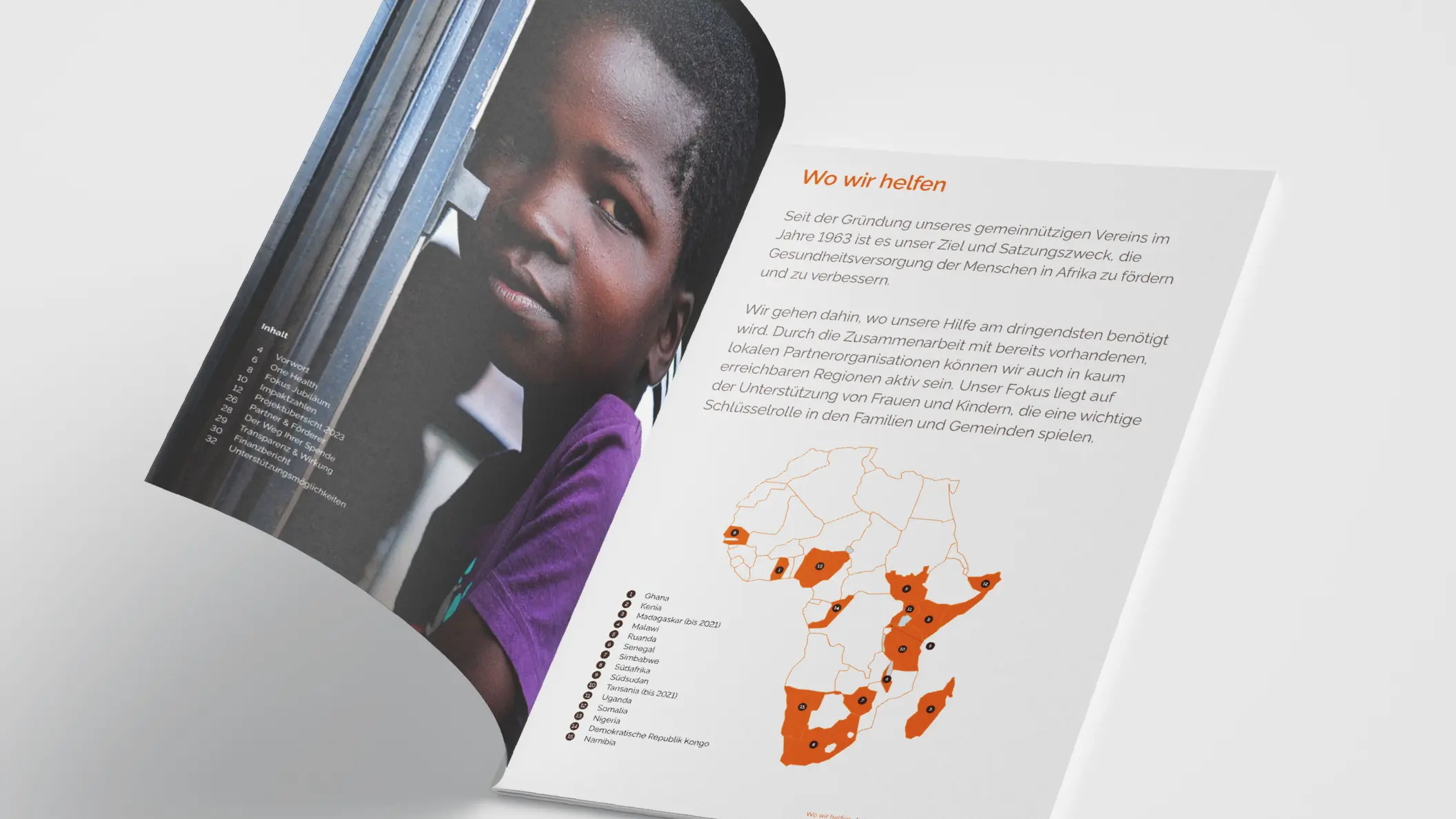 Jahresbericht für Gesundes Afrika 2023, Inhaltsverzeichnis